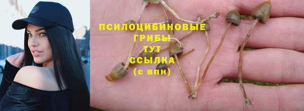 дурь Белоозёрский