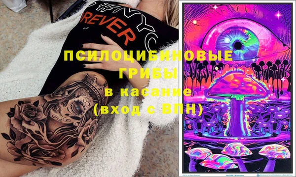 дурь Белоозёрский