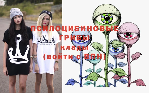 стафф Семикаракорск
