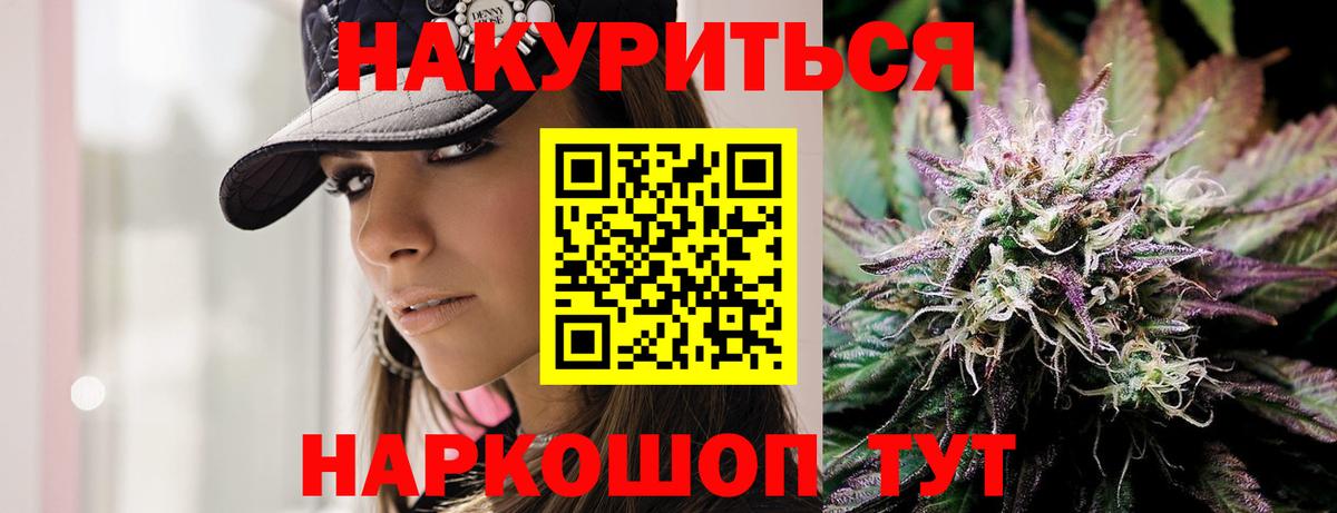 Каннабис планчик Малоярославец